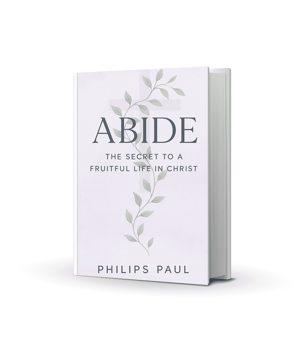 Abide Book Cover